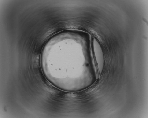 X0000091240071200708301548