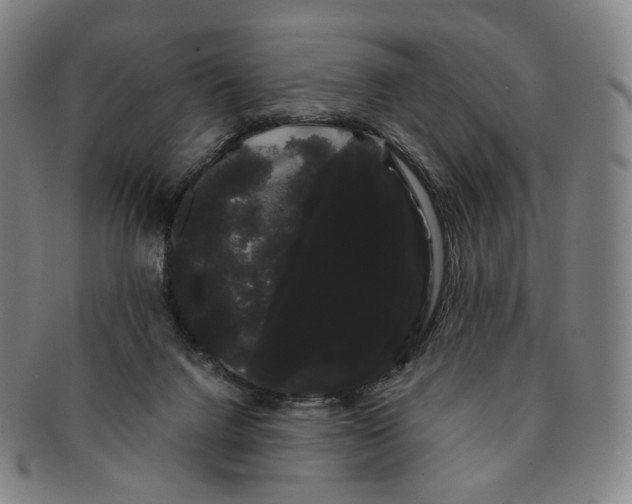 X0000091240072200708301548