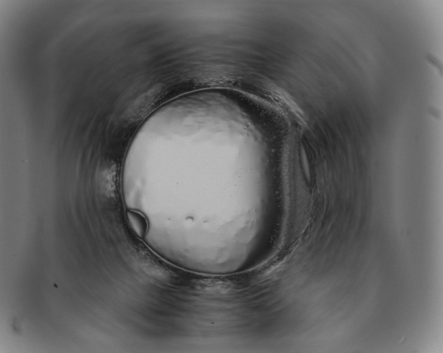 X0000091240073200708301548