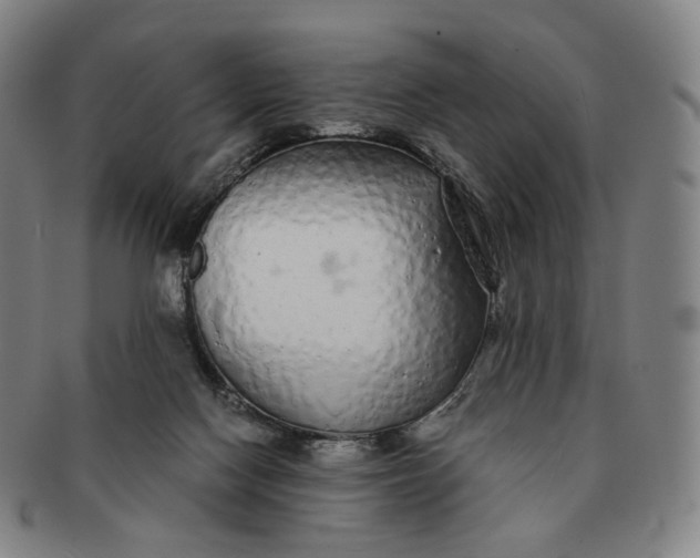 X0000091240074200708301548