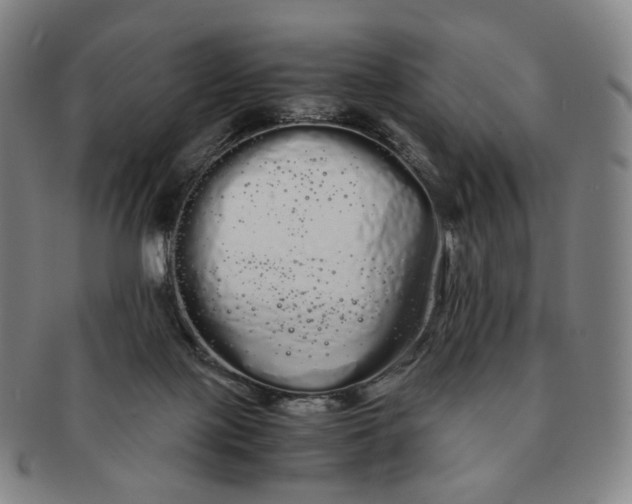 X0000091240075200708301548