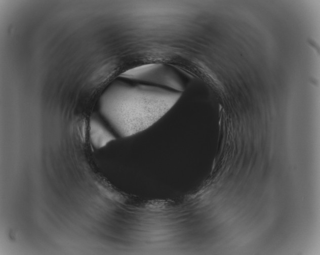 X0000091240076200708301548