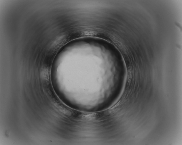 X0000091240078200708301548