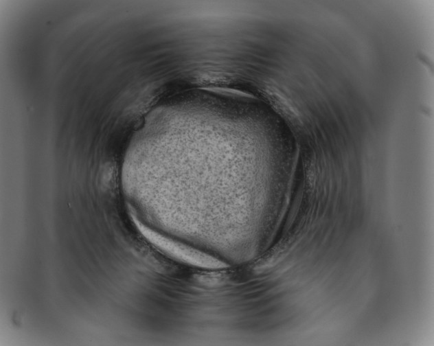 X0000091240079200708301548