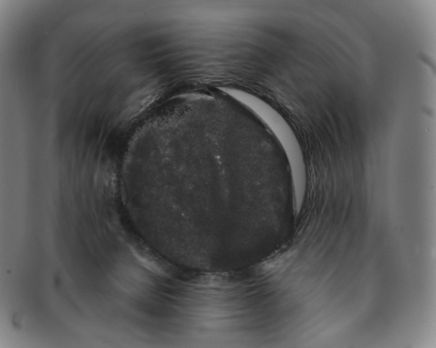 X0000091240080200708301548