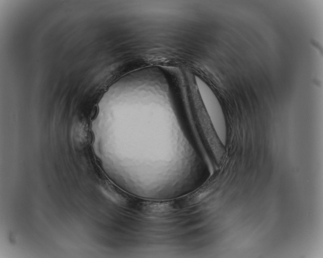 X0000091240081200708301548