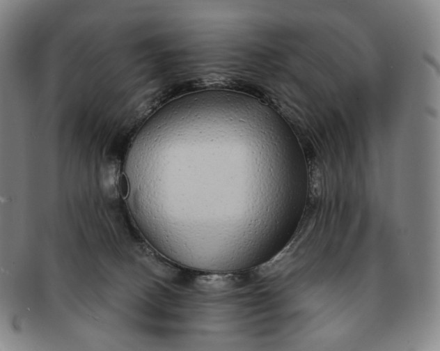 X0000091240082200708301548