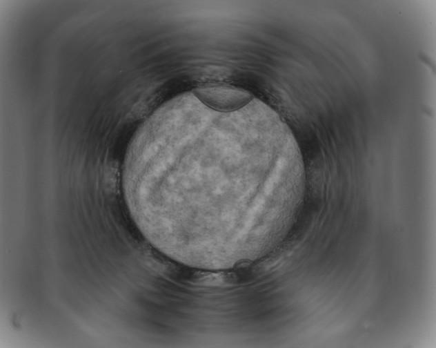 X0000091240083200708301548