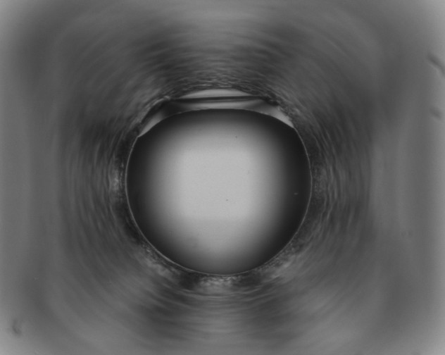 X0000091240084200708301548