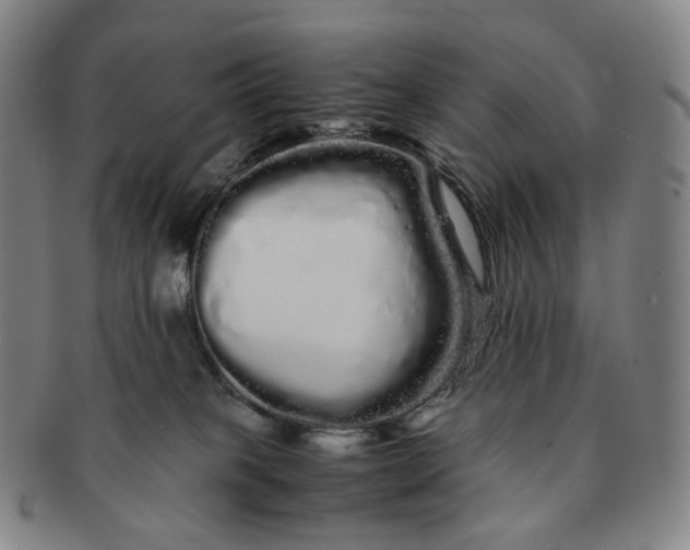 X0000091240085200708301548