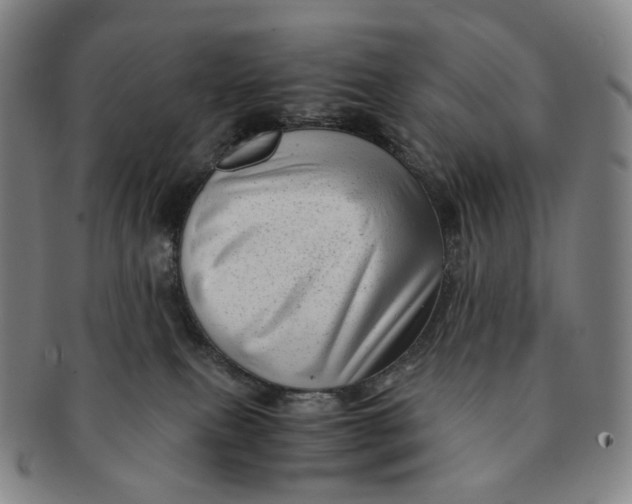 X0000091240087200708301549