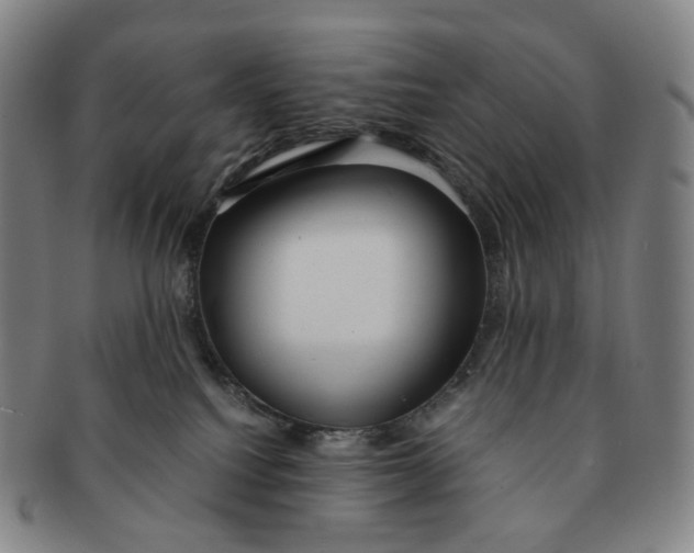 X0000091240088200708301549