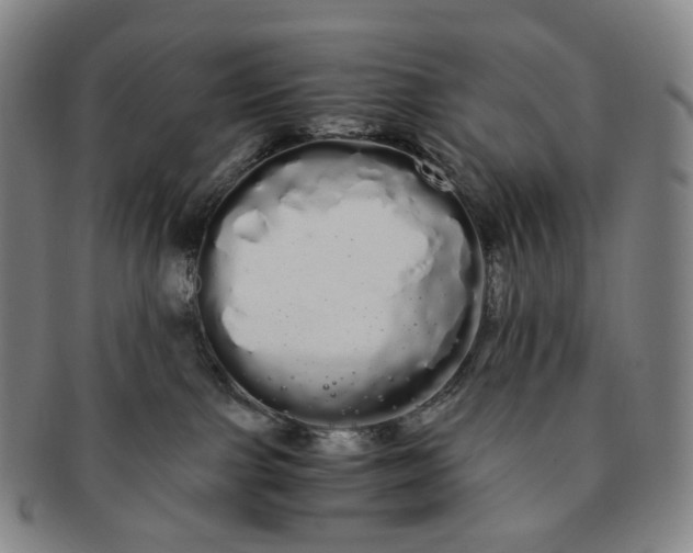 X0000091240091200708301549