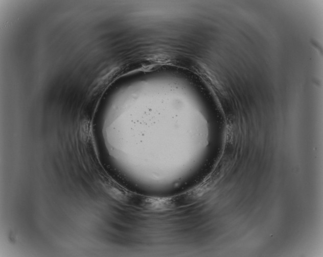 X0000091240093200708301549