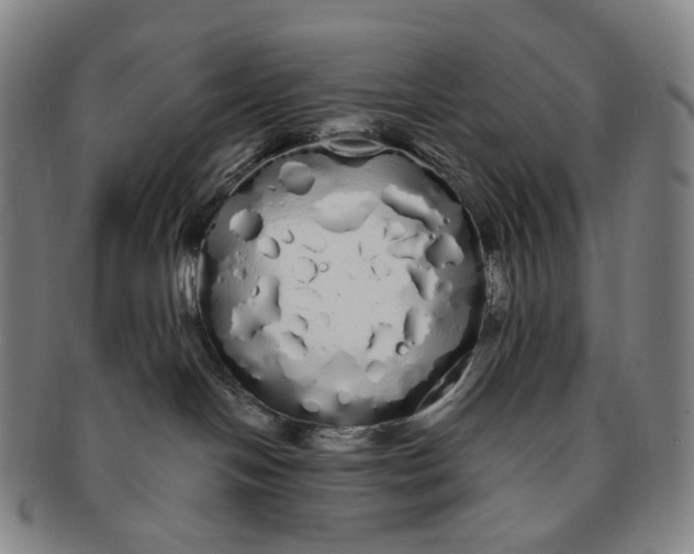 X0000091240094200708301549