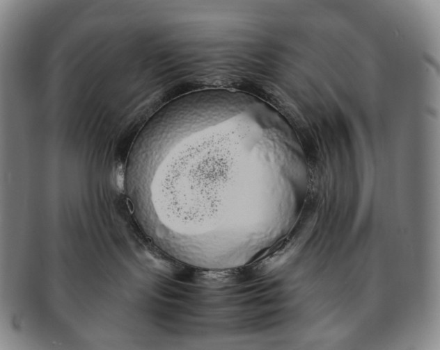 X0000091240095200708301549