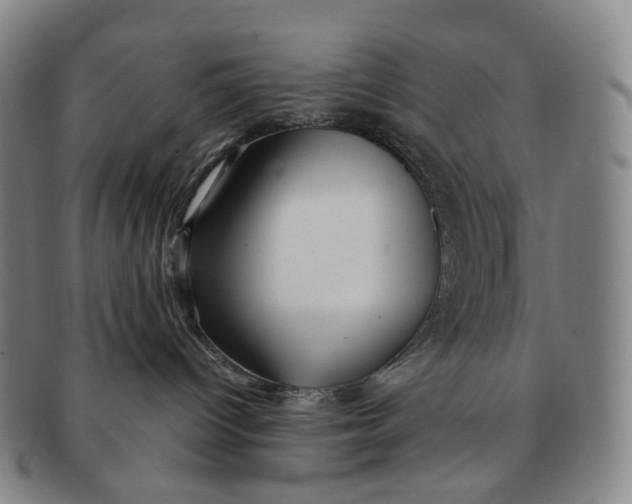 X0000091240096200708301549