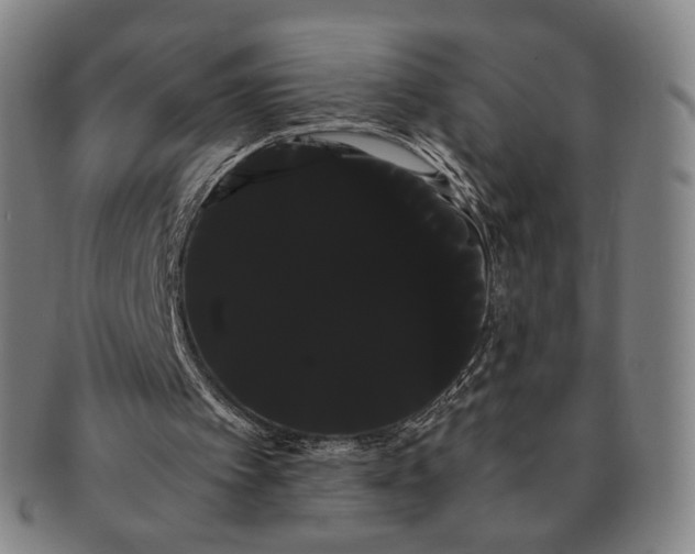 X0000091240097200708301548