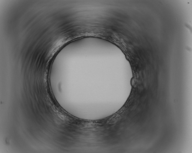 X0000091240098200708301548