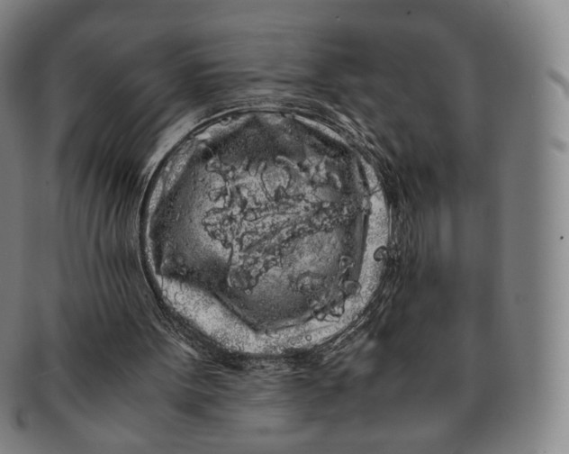 X0000091240099200708301548