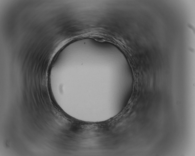 X0000091240100200708301548