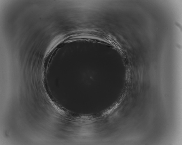 X0000091240101200708301548