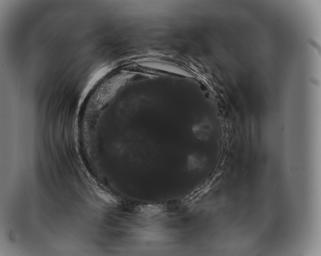 X0000091240102200708301548