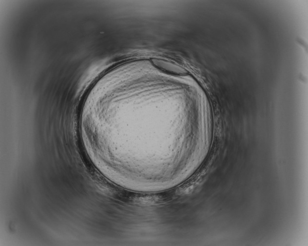 X0000091240103200708301548