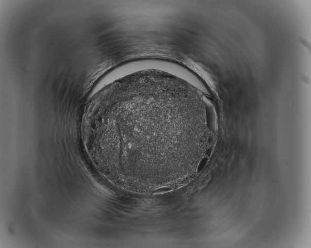 X0000091240105200708301548