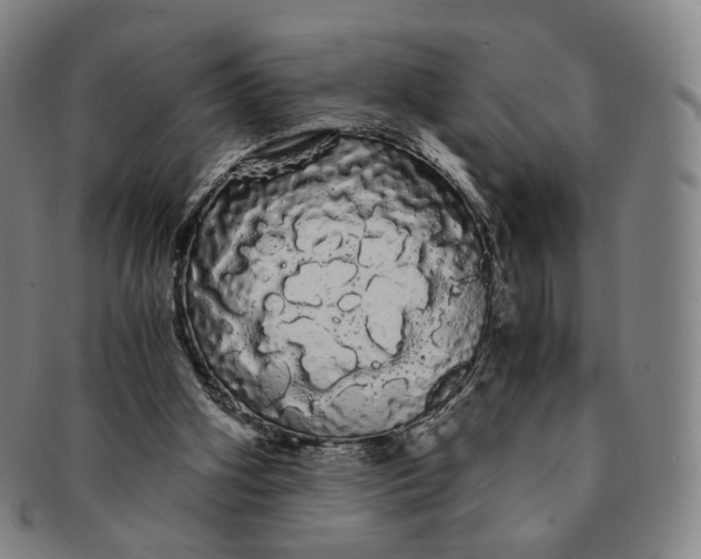 X0000091240106200708301548