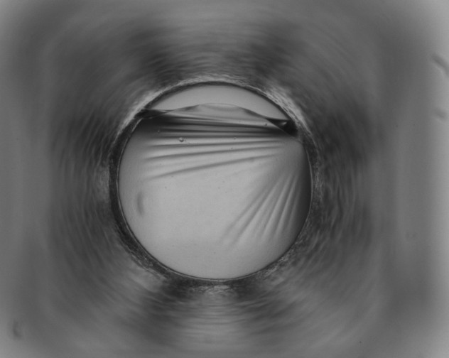 X0000091240108200708301548