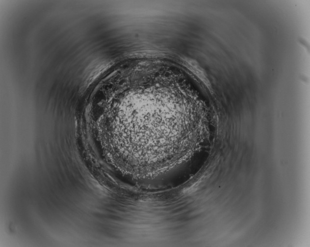 X0000091240109200708301548