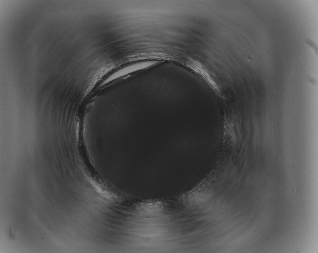 X0000091240110200708301548