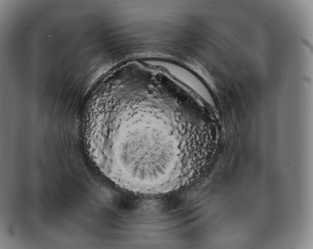 X0000091240111200708301548