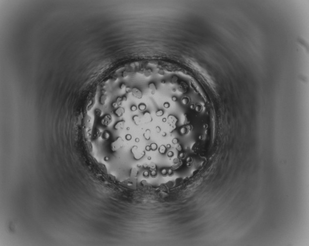 X0000091240113200708301548