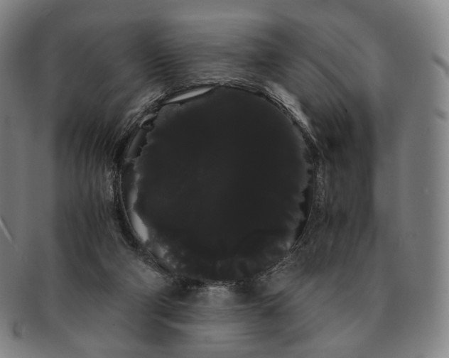 X0000091240114200708301548