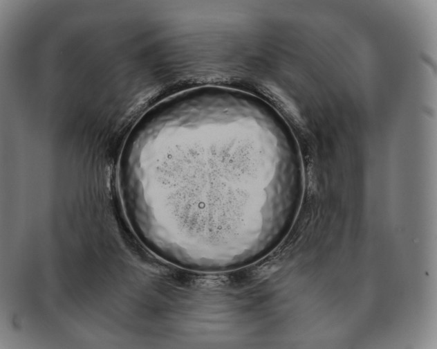 X0000091240115200708301548