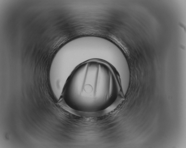 X0000091240117200708301548