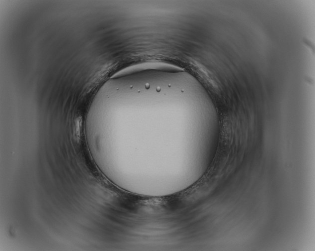 X0000091240118200708301548