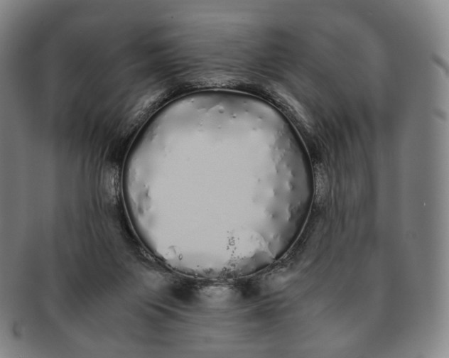 X0000091240119200708301547