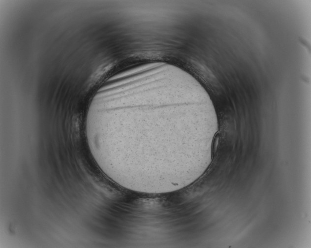 X0000091240120200708301547