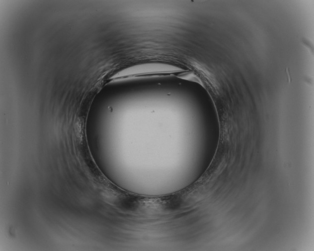 X0000091240121200708301547