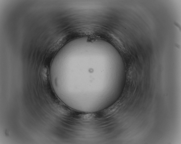 X0000091240122200708301547