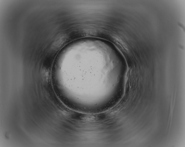 X0000091240123200708301547