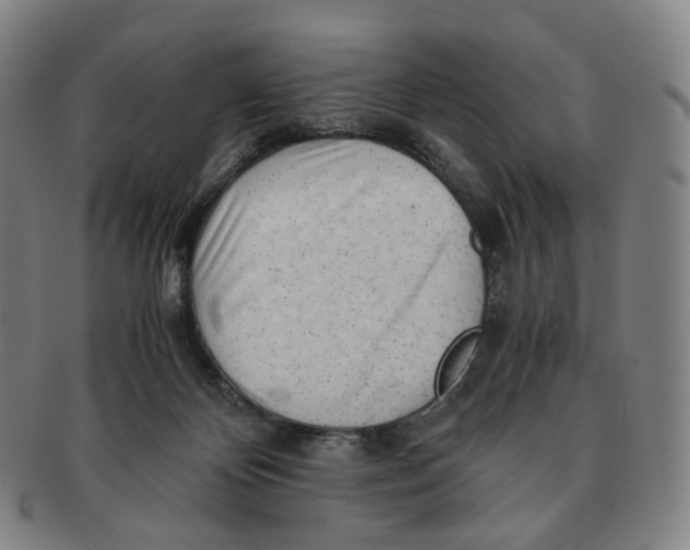 X0000091240124200708301547