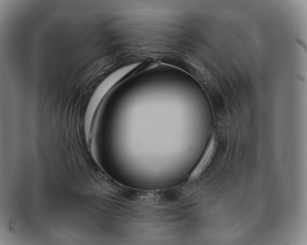 X0000091240125200708301547