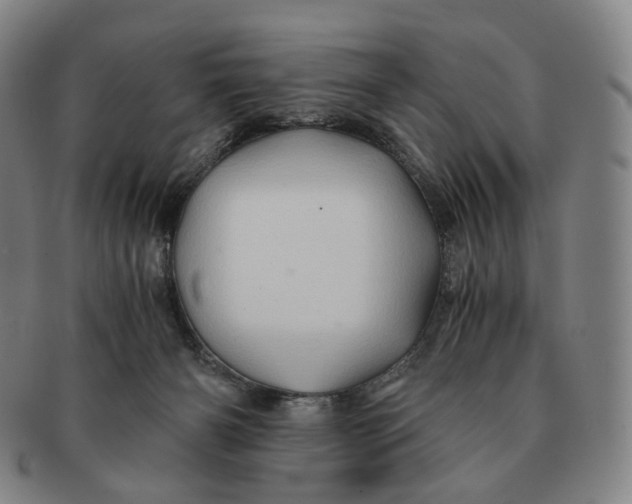 X0000091240126200708301547