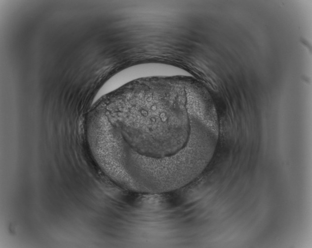 X0000091240127200708301547