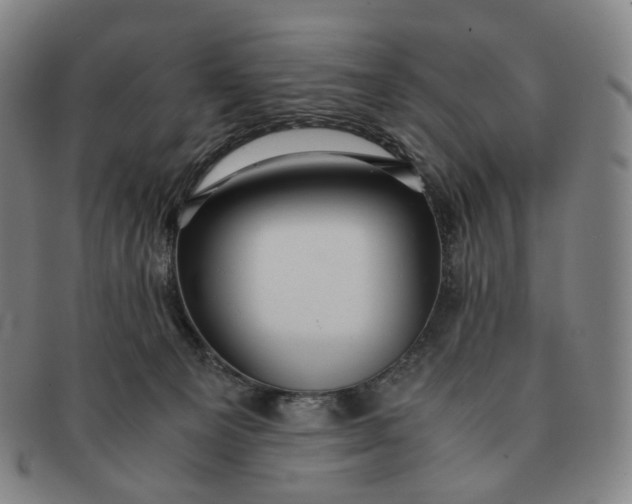 X0000091240129200708301547