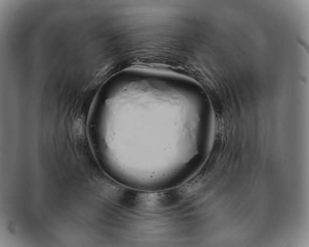 X0000091240131200708301547